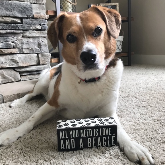 Meet your Posher, Jennifer - Picture 3 of 3